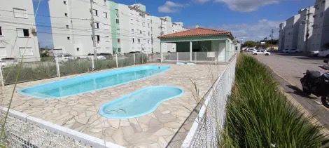 Apartamento - Venda - Fragata - Pelotas - RS