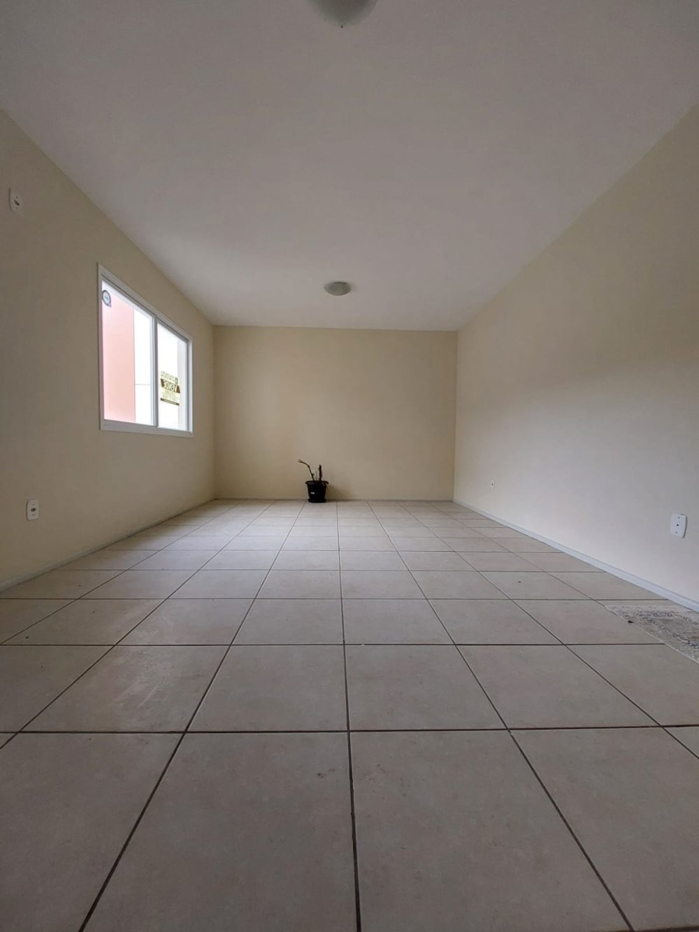 Apartamento - Venda - Centro - Pelotas - RS
